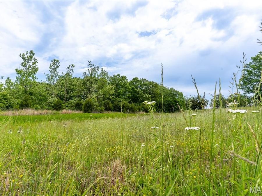 Property Image 45
