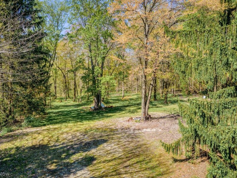 4943 State Rte 82 , Mantua, OH 44255 Photo 14