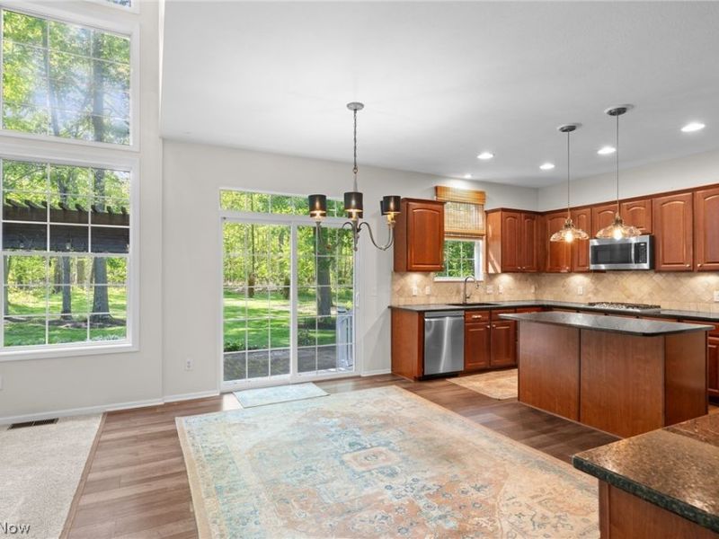 37903 Heron Lane, Avon, OH 44011 Photo 20
