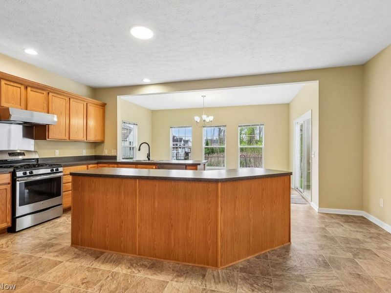 3784 Firethorn Drive, Aurora, OH 44202 Photo 4