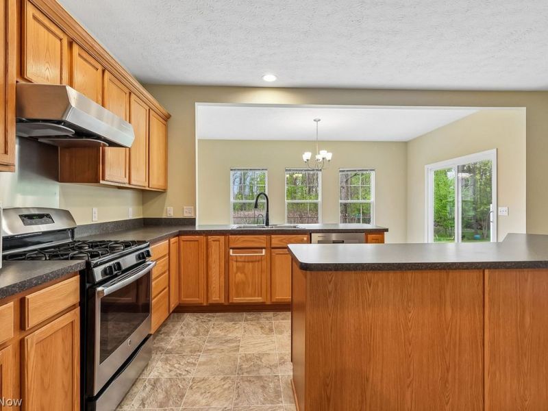 3784 Firethorn Drive, Aurora, OH 44202 Photo 5
