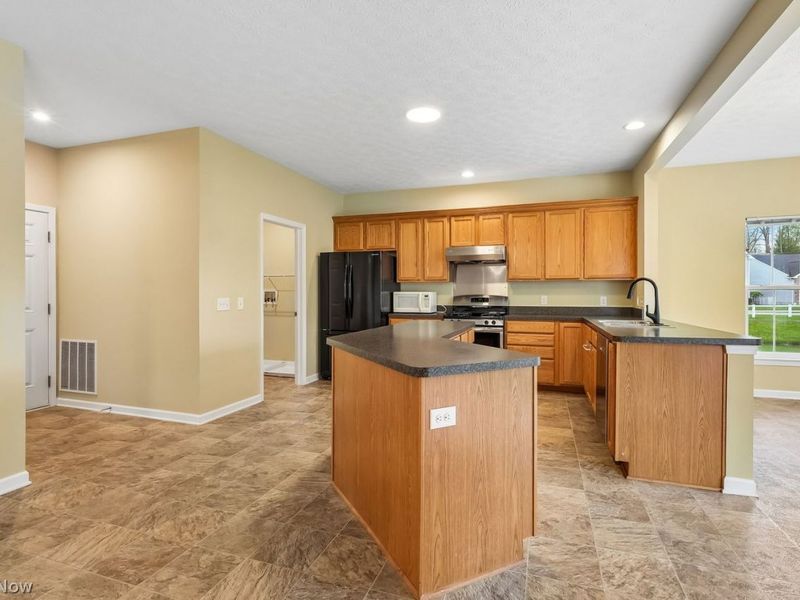 3784 Firethorn Drive, Aurora, OH 44202 Photo 9