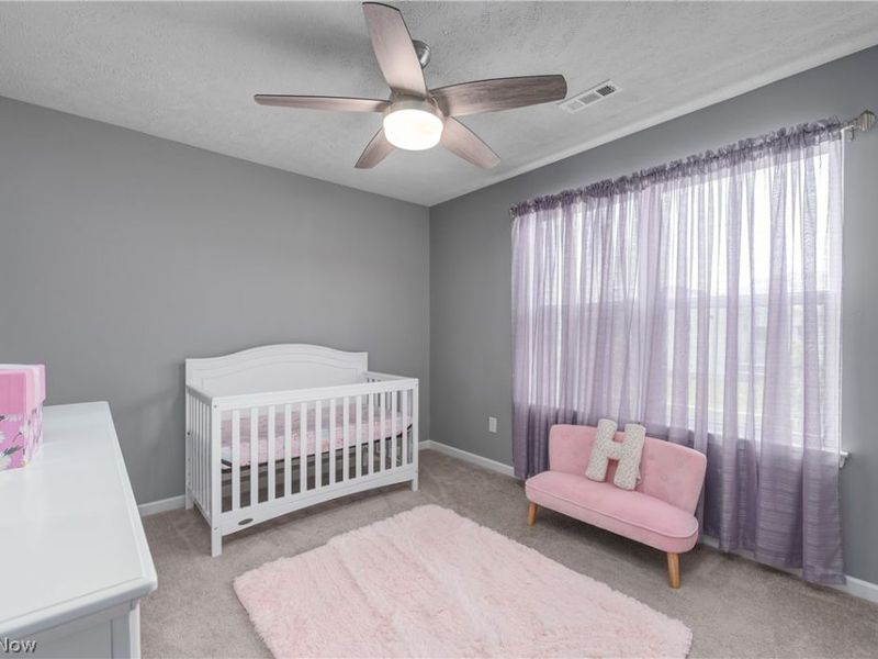 1595 Crescent Drive, Streetsboro, OH 44241 Photo 18