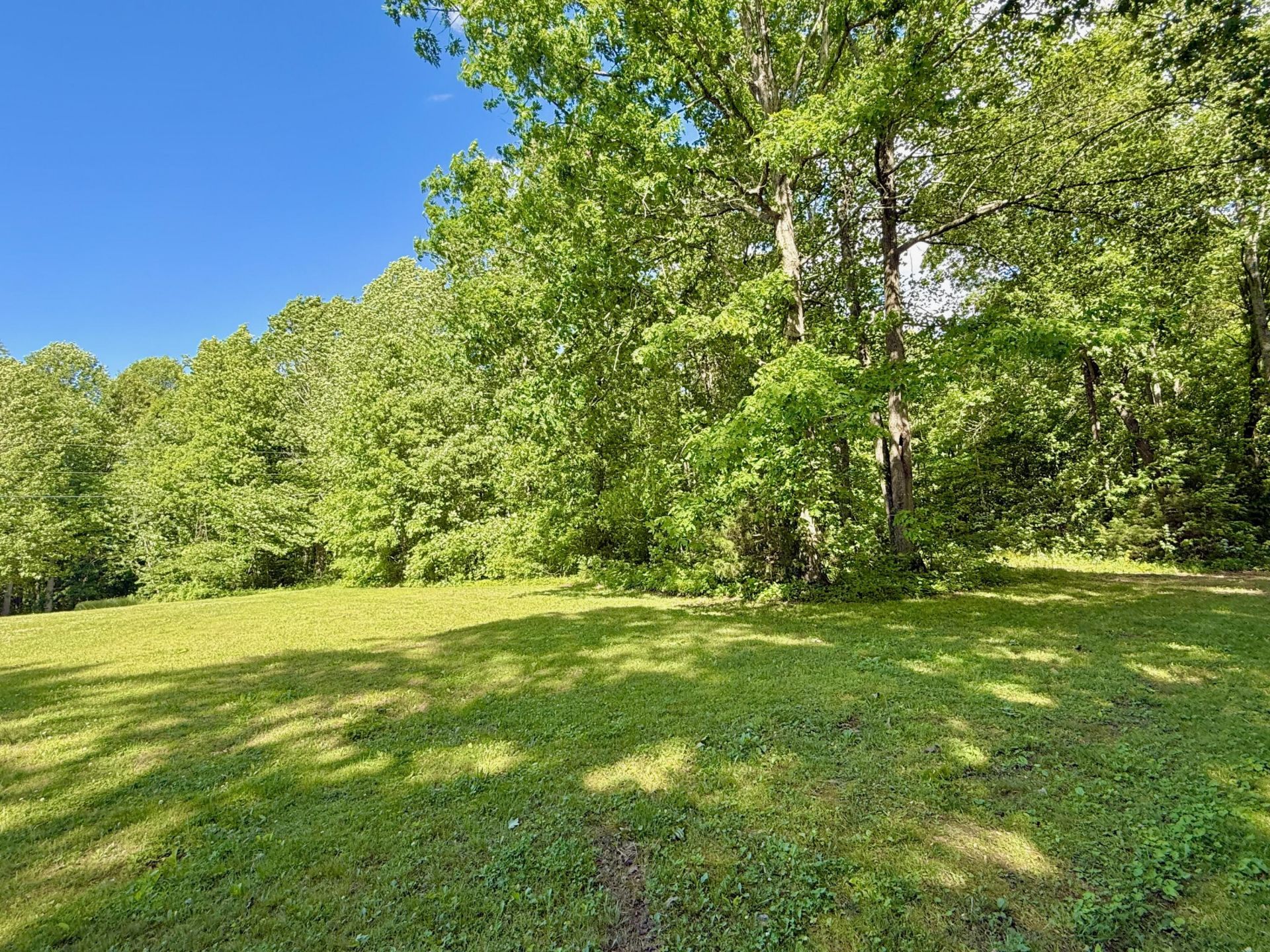 0 Ewing Ridge Road, Dunnville, KY 42528