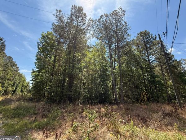 467 N Raburn Road, Bremen, GA 30110
