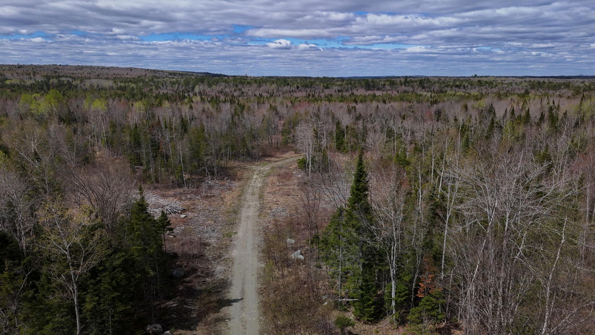 Lot 22 Schoodic Point Road , Medford, ME 04463 Main Photo