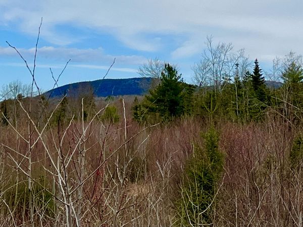 19 Aspen Lane , Sullivan, ME 04664