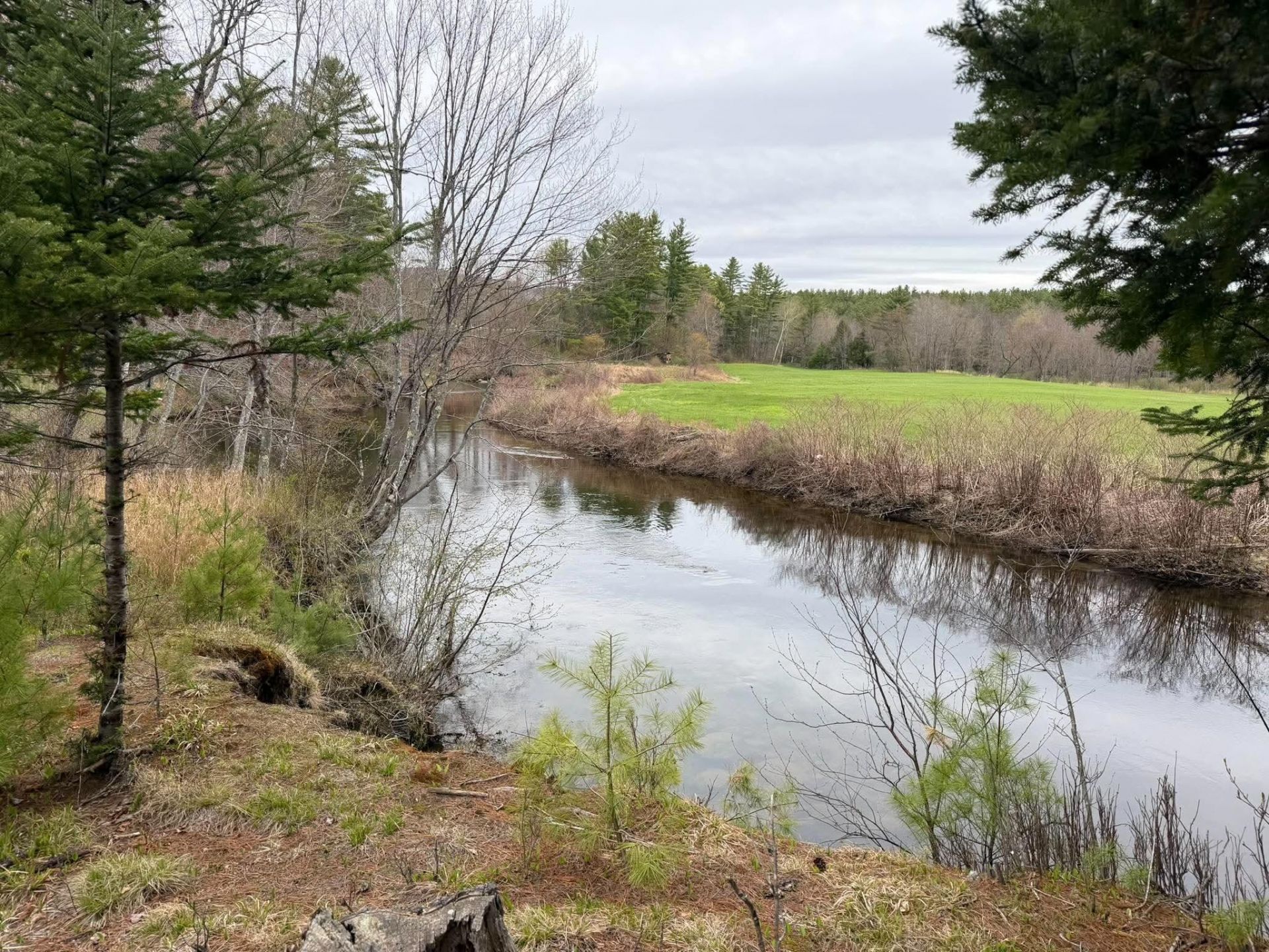 Lot 8 Coburn Road , Carthage, ME 04224 Main Photo