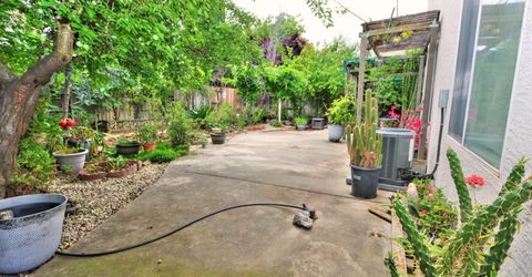 8897 Shasta Lily Dr, Elk Grove, CA 95624 Photo