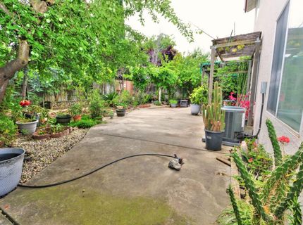 8897 Shasta Lily Dr, Elk Grove, CA 95624 Photo