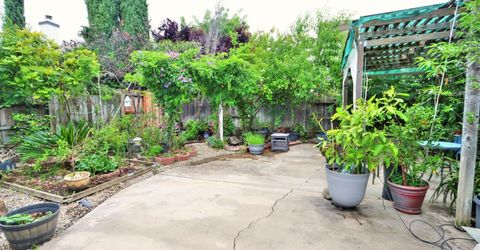 8897 Shasta Lily Dr, Elk Grove, CA 95624 Photo