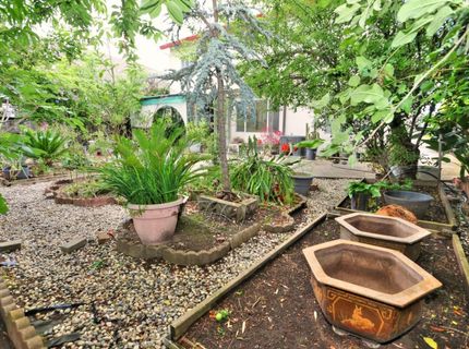 8897 Shasta Lily Dr, Elk Grove, CA 95624 Photo