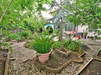 8897 Shasta Lily Dr, Elk Grove, CA 95624 Photo