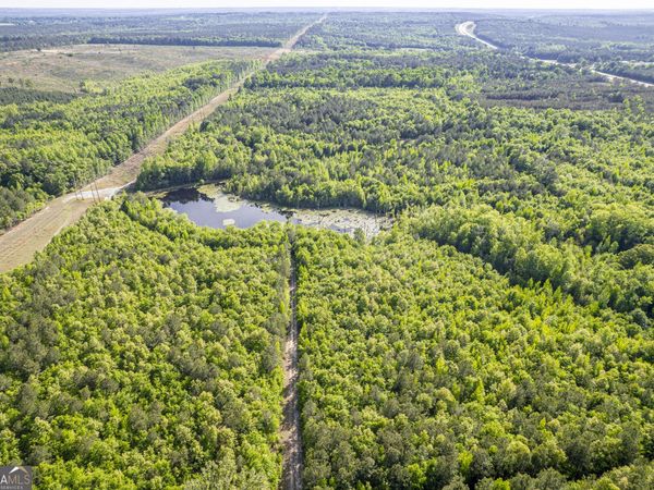 21701 Highway 441, Mcintyre, GA 31054