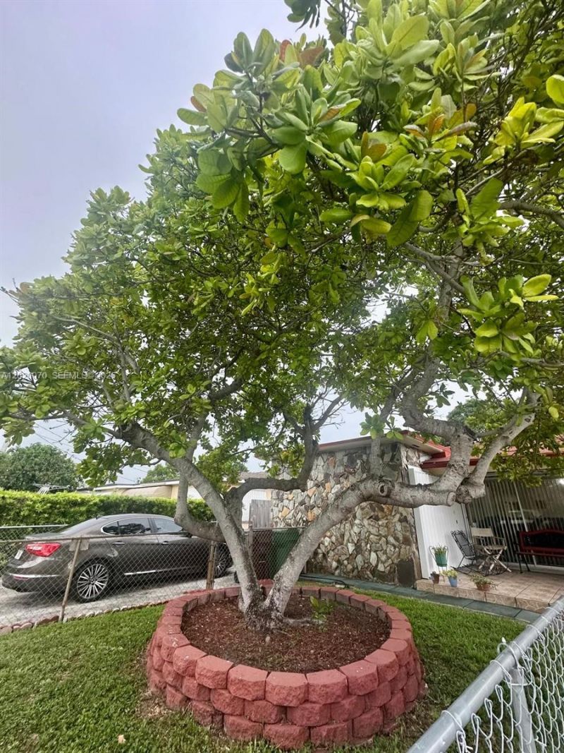 659 W 14th St , Hialeah, FL 33010 Photo