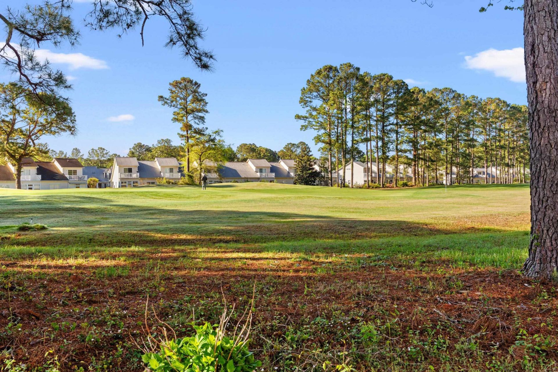 525 Joy Way Ct. Photo 35