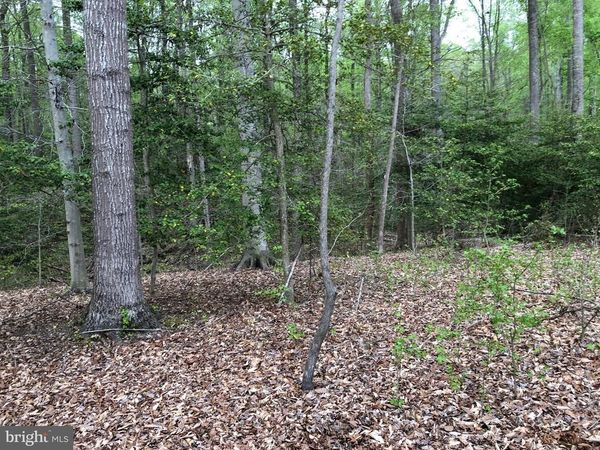 9045 GENEVIEVE DRIVE , WHITE PLAINS, MD 20695