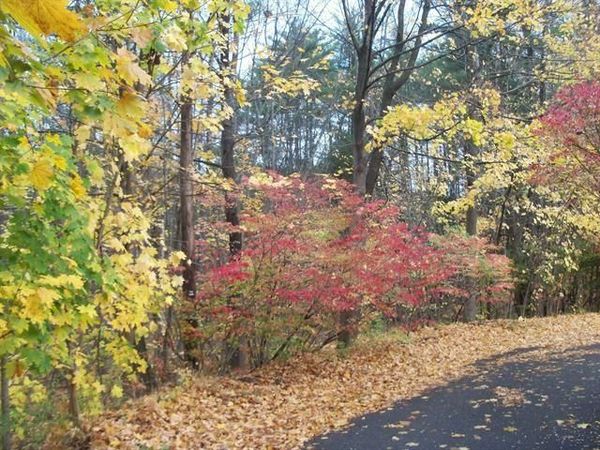 Sanborn Road, Laconia, NH 03246