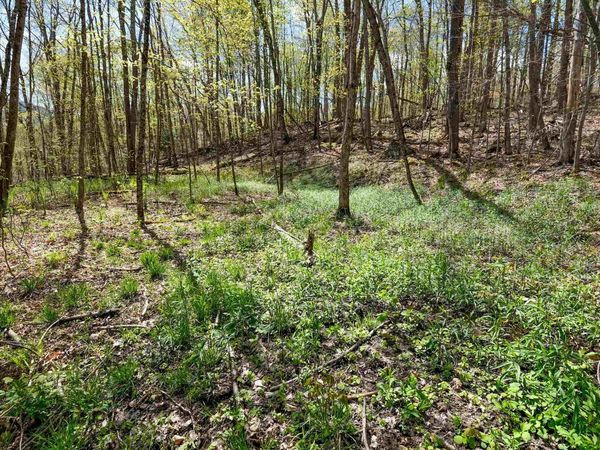 269 Hawkins Road, Wallingford, VT 05773