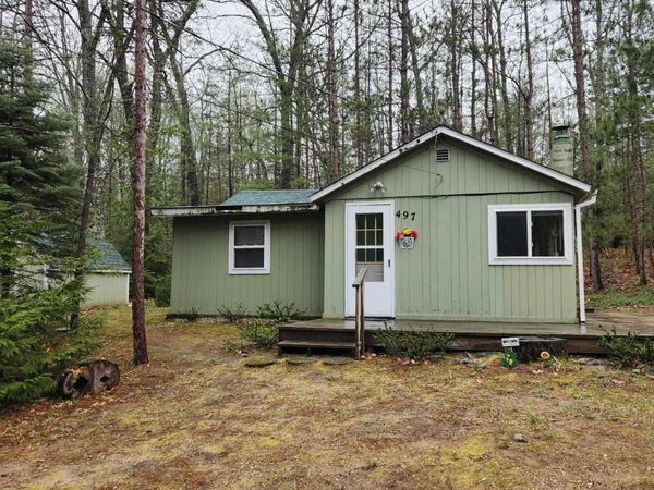 497 E Bear Lake Rd. NE Road, Kalkaska, MI 49646