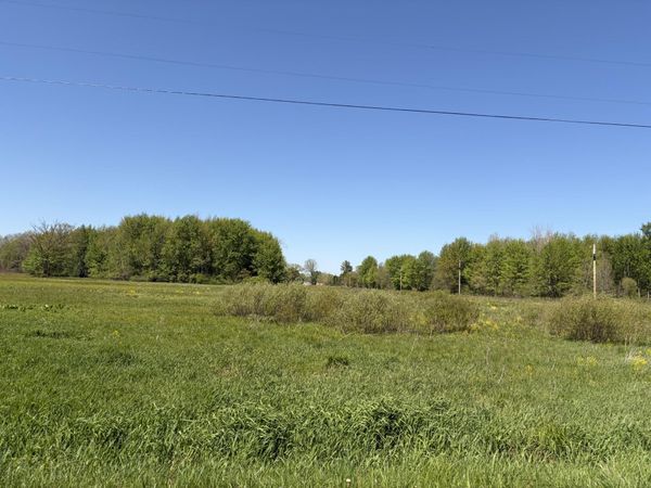 00000 40th Street, Unit Parcel A, Paw Paw, MI 49079