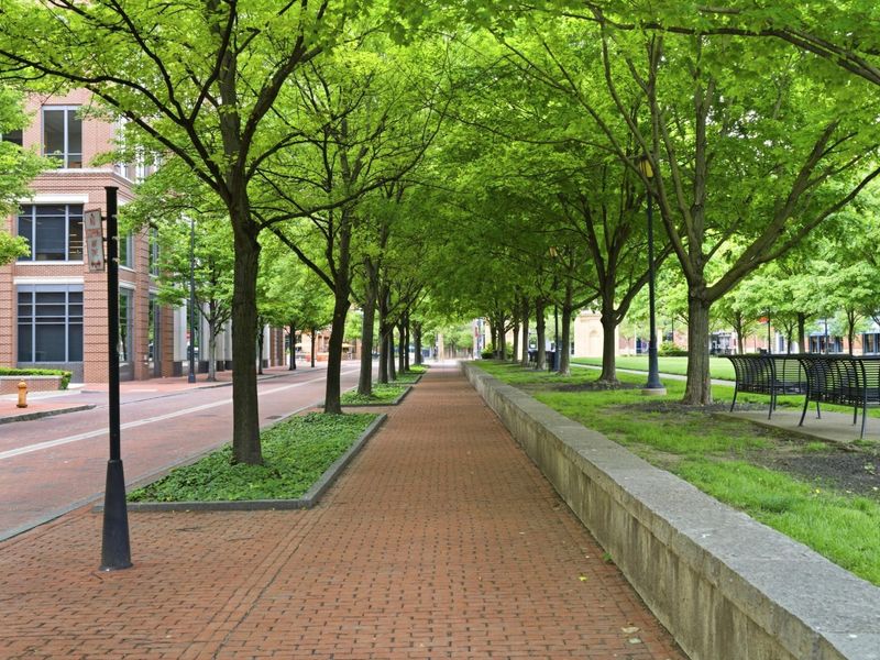 250 Daniel Burnham Square , Unit 305, Columbus, OH 43215 Photo 39