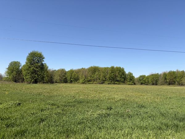 00000 40th Street, Unit Parcel B, Paw Paw, MI 49079