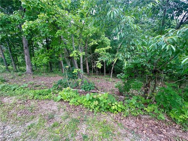 Leyland Drive , Bella Vista, AR 72714