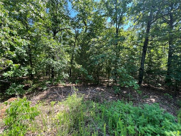 TBD Saddle View Drive , Yellville, AR 72687