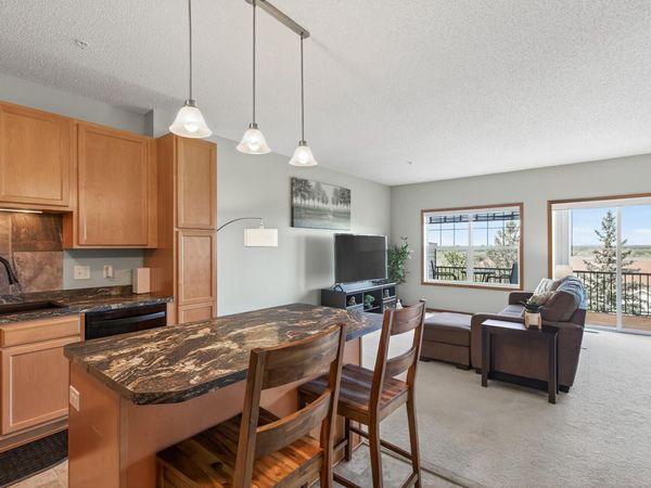 13217 Virginia Avenue S, Savage, MN 55378