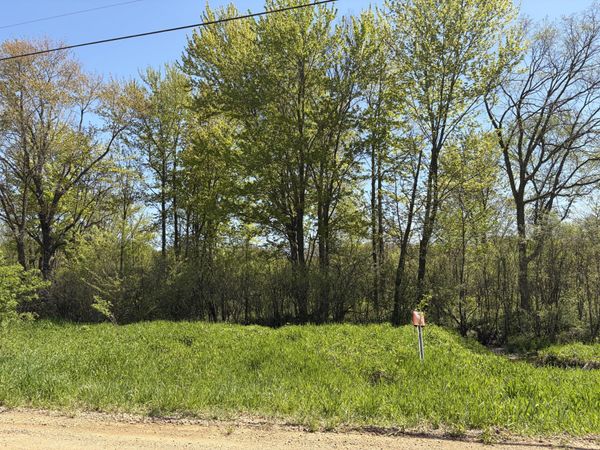 00000 41st Street, Unit Parcel D, Paw Paw, MI 49079