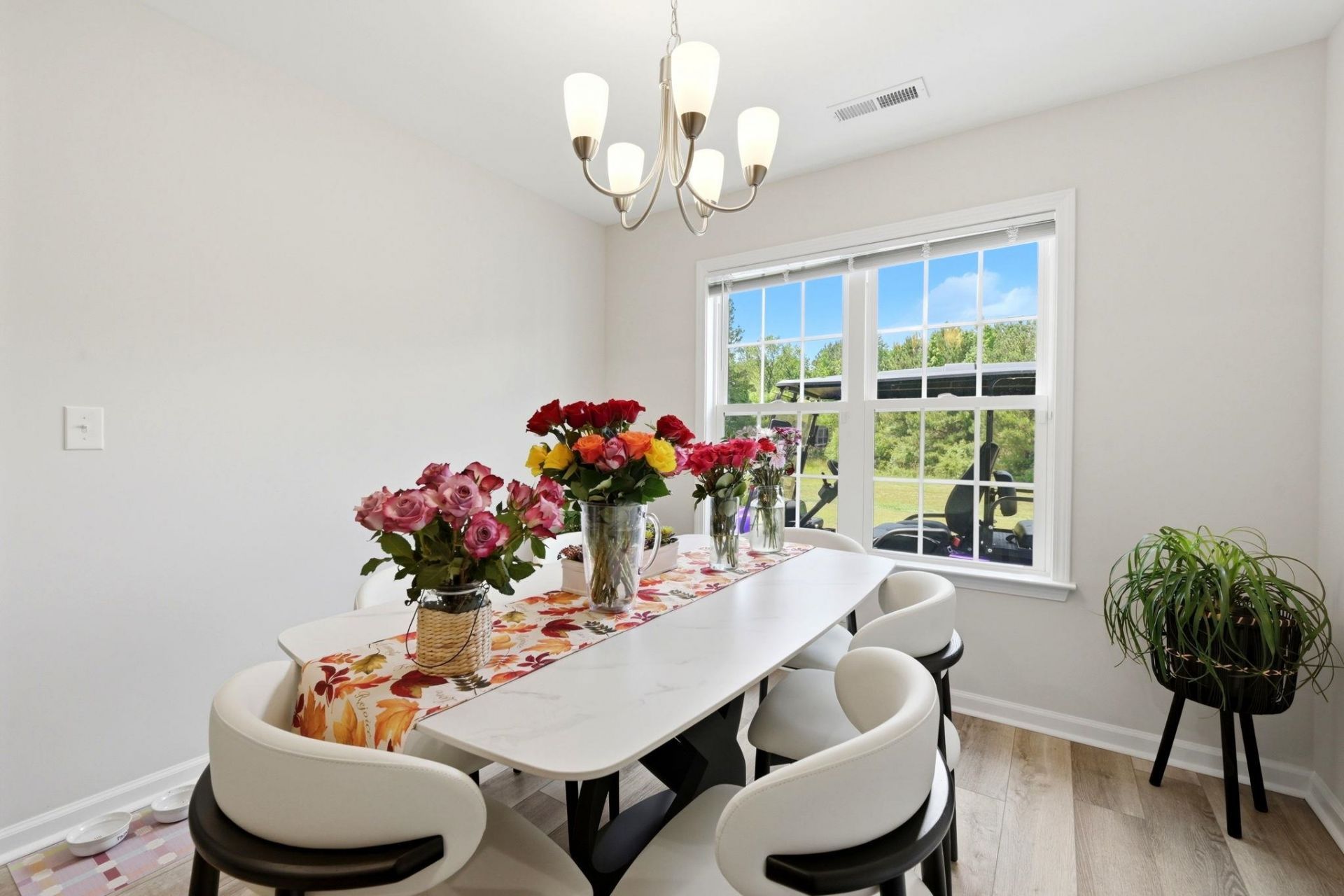 882 Owls Nest Dr.  Photo 10