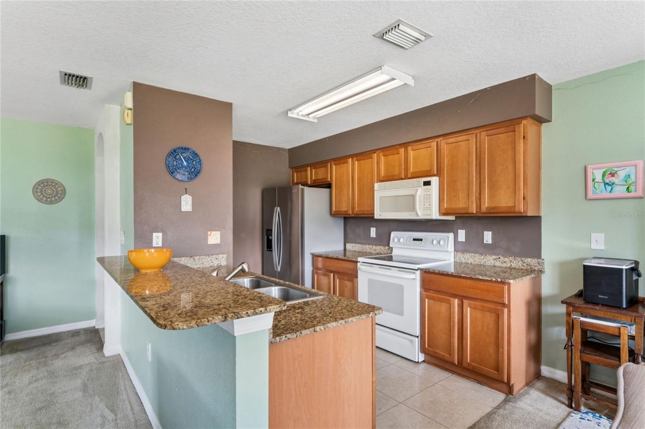 3533 Cardinal Feather Drive, Land O Lakes, FL 34638 Photo