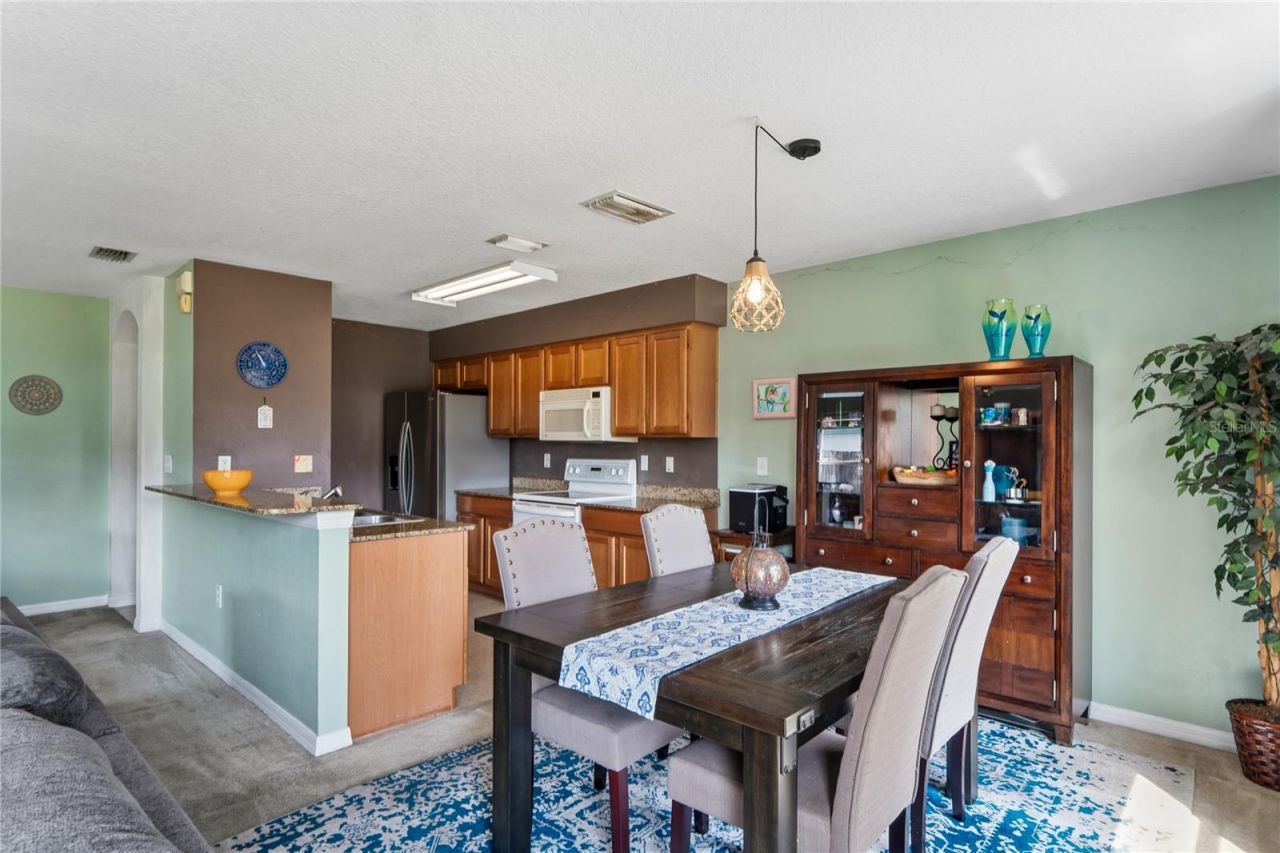 3533 Cardinal Feather Drive, Land O Lakes, FL 34638 Photo