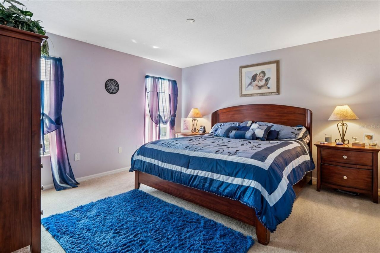 3533 Cardinal Feather Drive, Land O Lakes, FL 34638 Photo