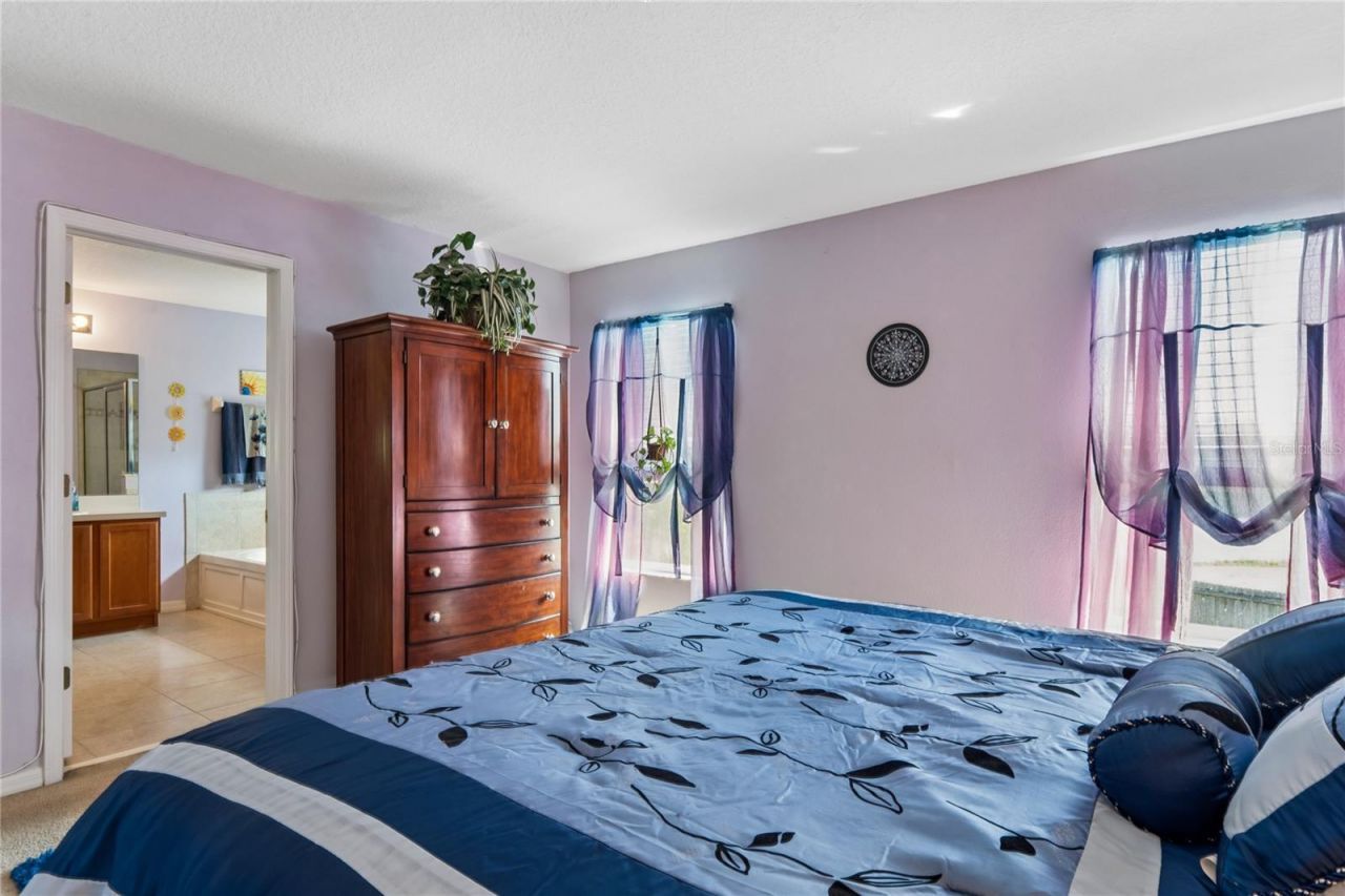 3533 Cardinal Feather Drive, Land O Lakes, FL 34638 Photo