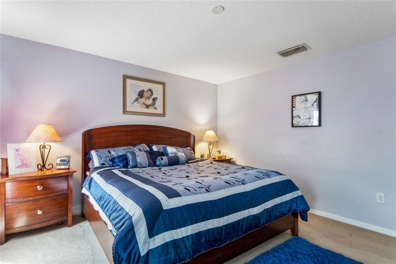 3533 Cardinal Feather Drive, Land O Lakes, FL 34638 Photo