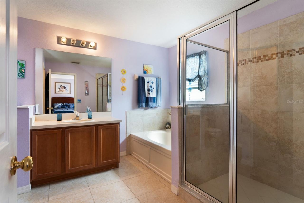3533 Cardinal Feather Drive, Land O Lakes, FL 34638 Photo