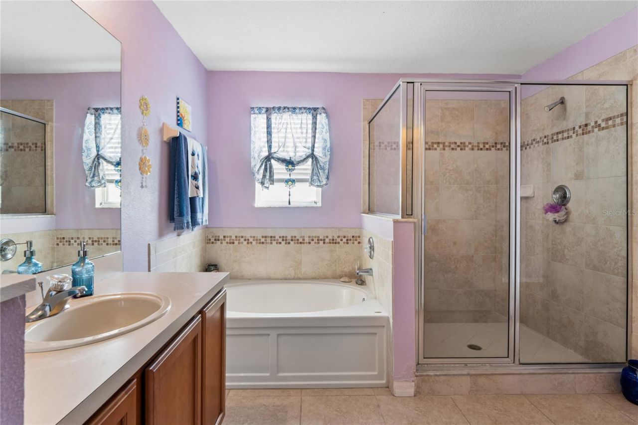 3533 Cardinal Feather Drive, Land O Lakes, FL 34638 Photo