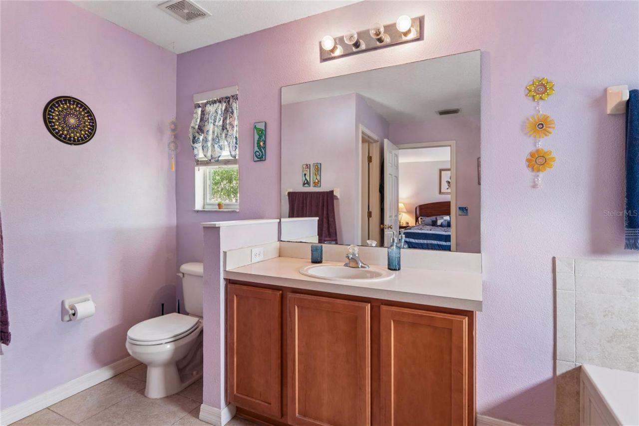 3533 Cardinal Feather Drive, Land O Lakes, FL 34638 Photo