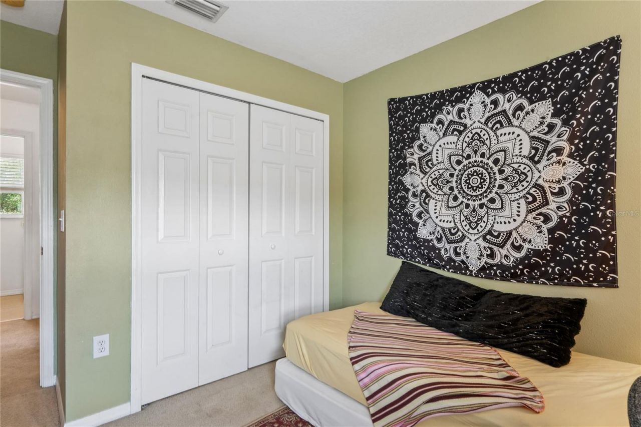 3533 Cardinal Feather Drive, Land O Lakes, FL 34638 Photo