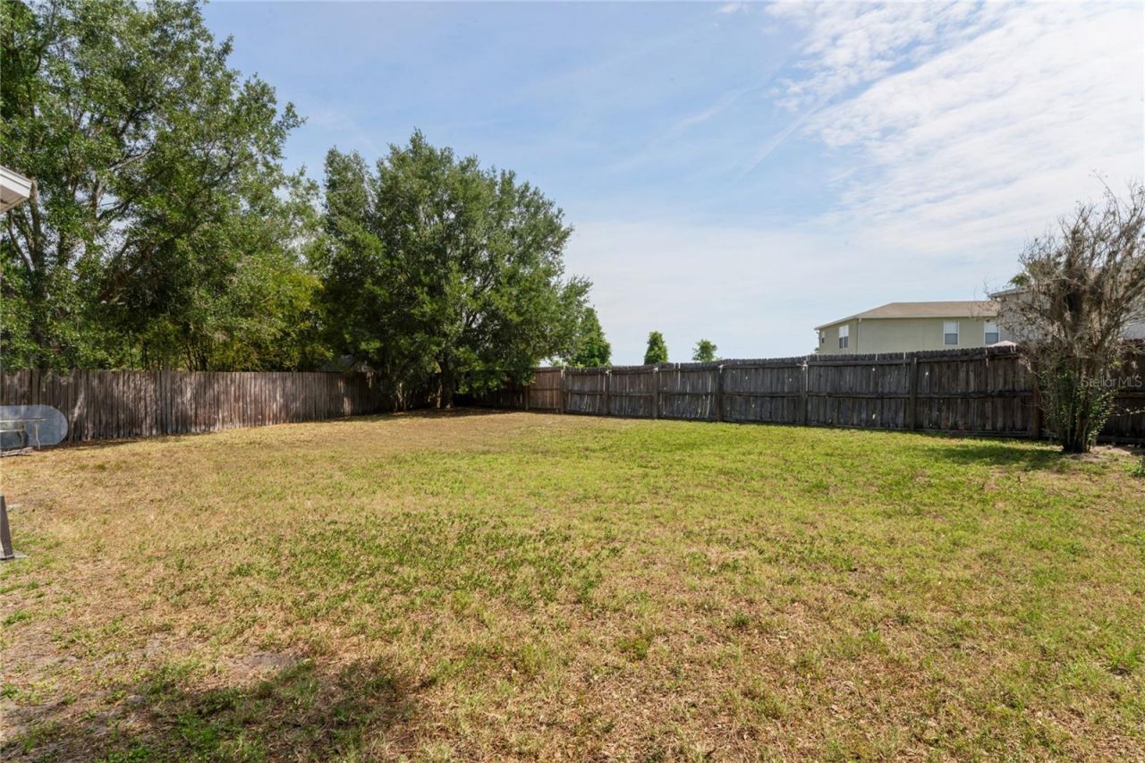 3533 Cardinal Feather Drive, Land O Lakes, FL 34638 Photo