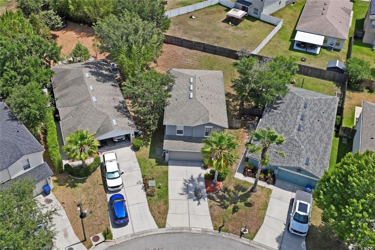 3533 Cardinal Feather Drive, Land O Lakes, FL 34638 Photo