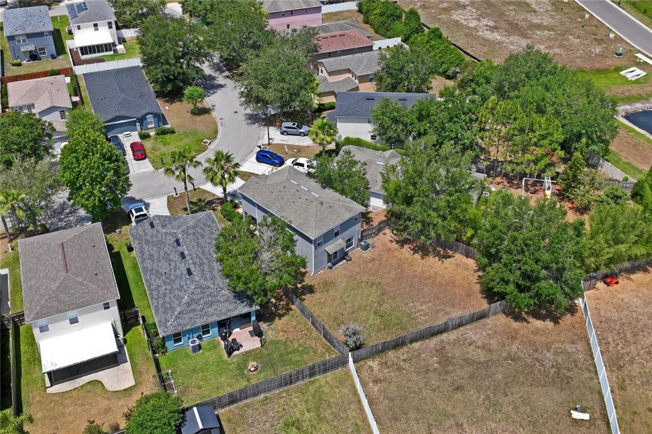 3533 Cardinal Feather Drive, Land O Lakes, FL 34638 Photo