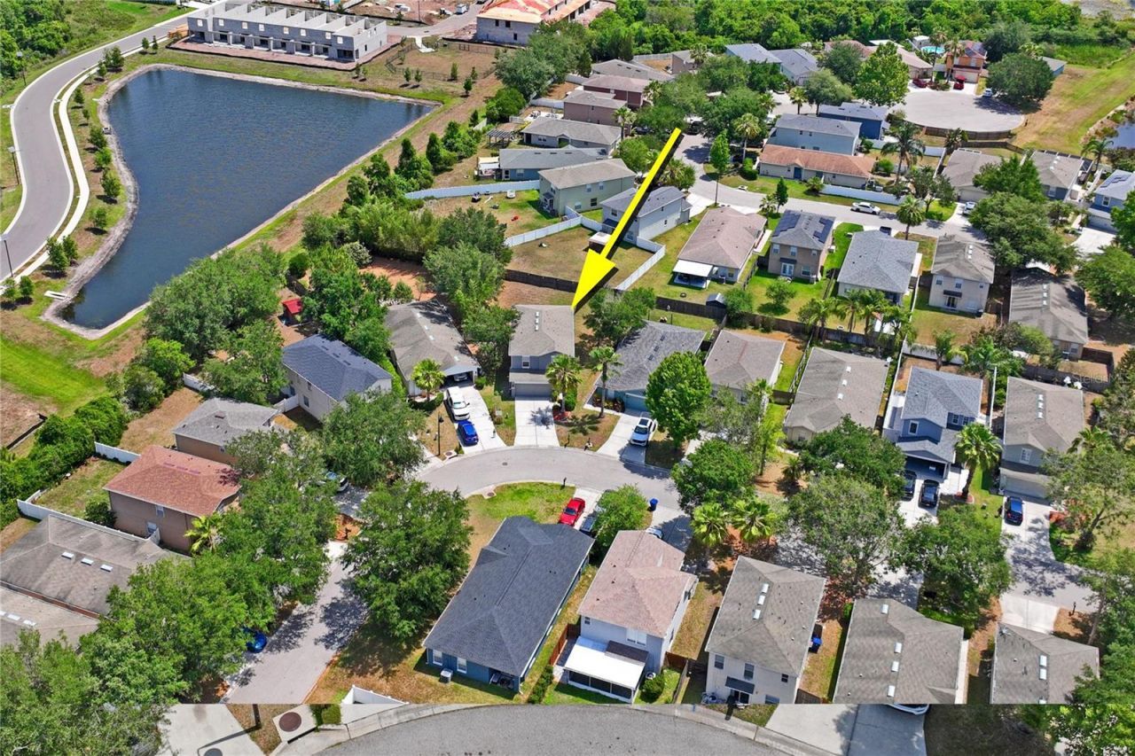 3533 Cardinal Feather Drive, Land O Lakes, FL 34638 Photo