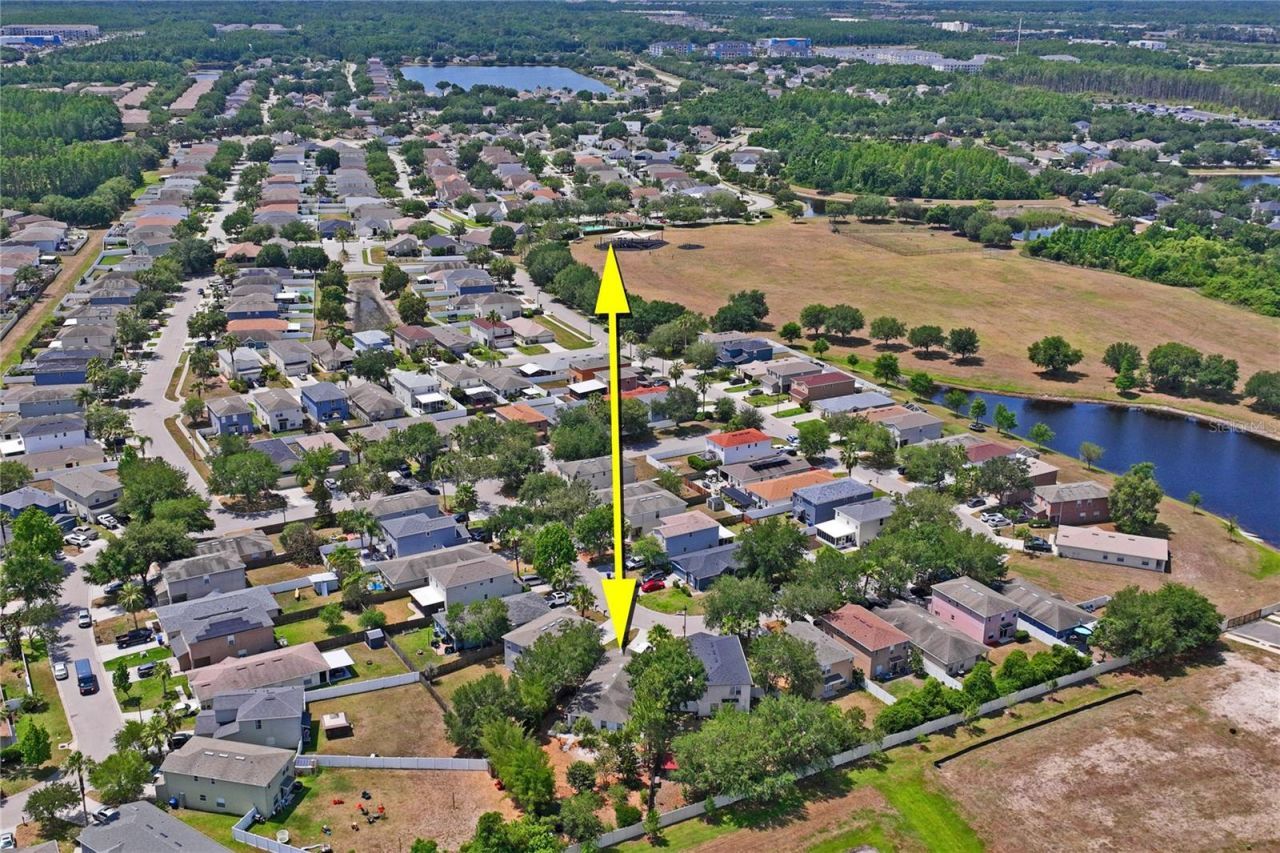 3533 Cardinal Feather Drive, Land O Lakes, FL 34638 Photo