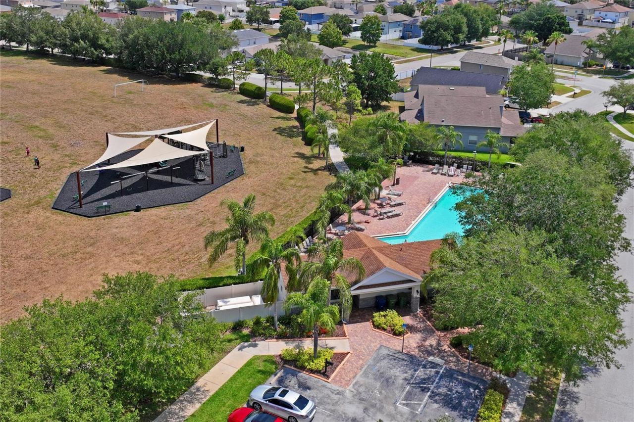3533 Cardinal Feather Drive, Land O Lakes, FL 34638 Photo