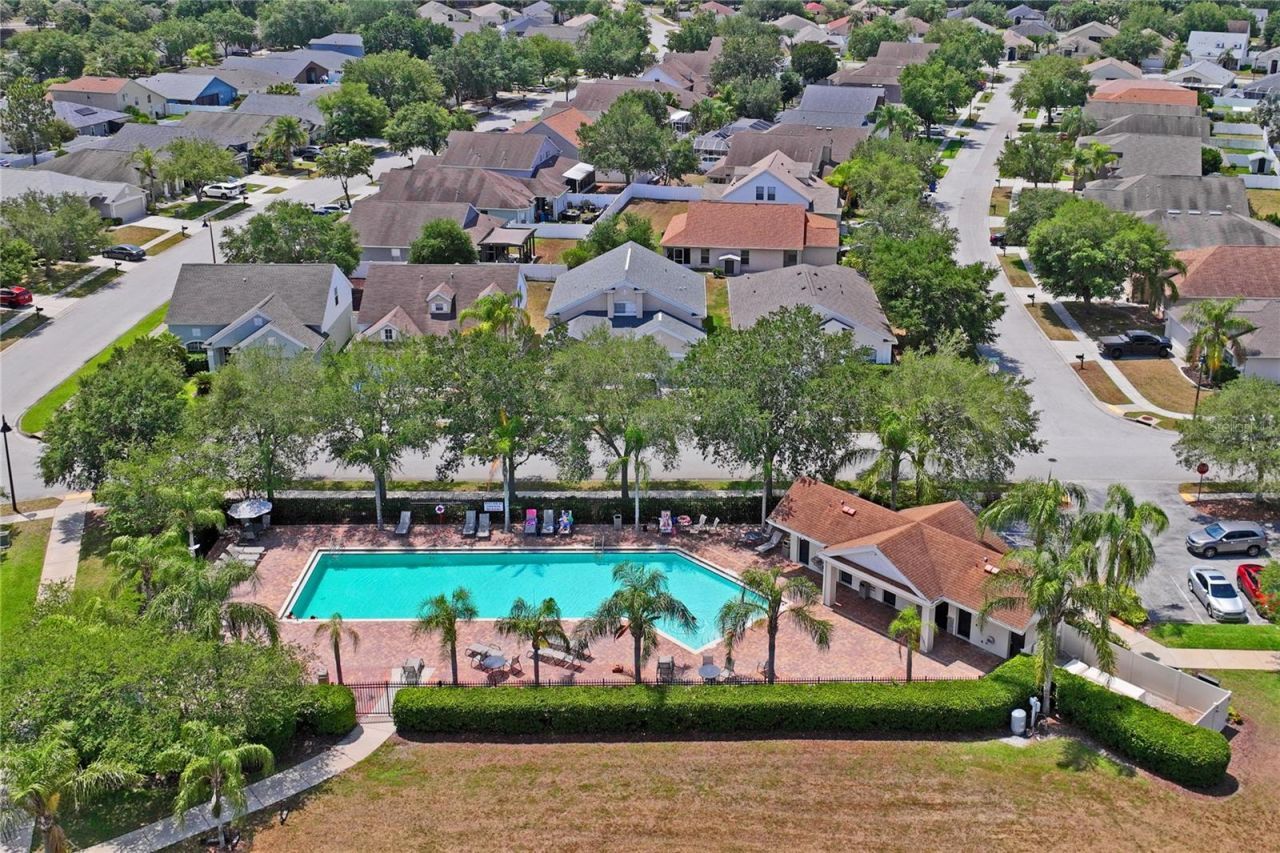 3533 Cardinal Feather Drive, Land O Lakes, FL 34638 Photo