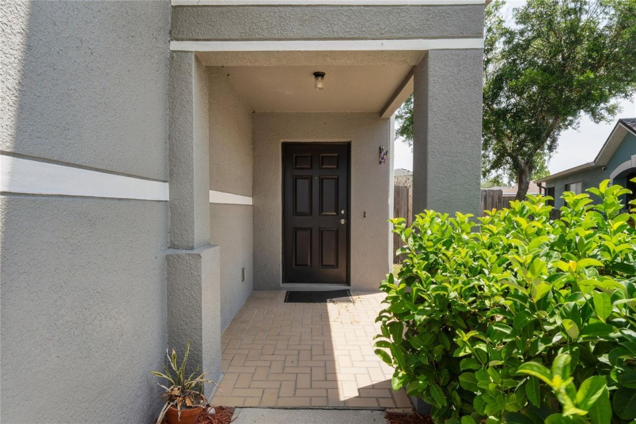 3533 Cardinal Feather Drive, Land O Lakes, FL 34638 Photo