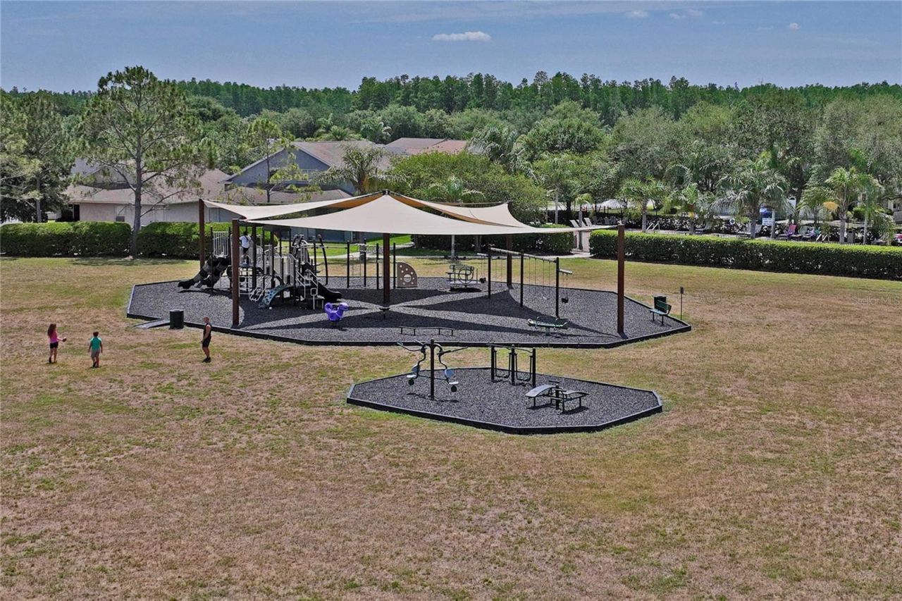 3533 Cardinal Feather Drive, Land O Lakes, FL 34638 Photo